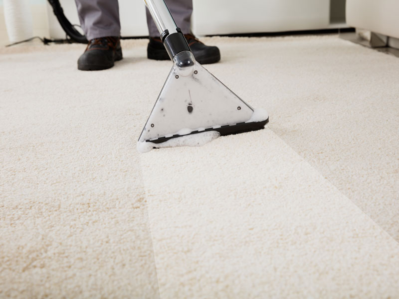 Carpet and Upholstery Cleaning